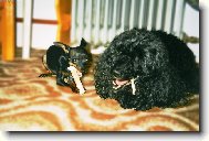 Jsem na návštěvě-beru větší