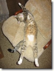 To křeslo je mi malé