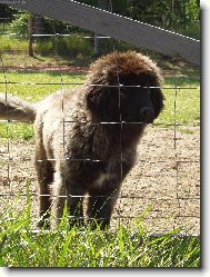 Já jsem malej,ale šikovnej