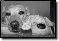 Baruska s plyšákem