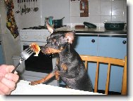 Matylda: Dobro chuť...