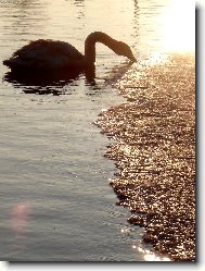 Život teplý i studený