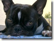 Nikdo si nechce hrát ...