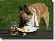 NÁŠ PES NA DOVOLENÉ 1