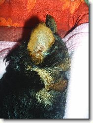 prosím,nerušit :)!