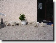 Konečně  sluníčko