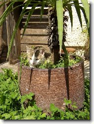 Neznám nic lepšího...