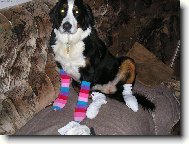 Naše Sára neví co by