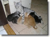 Ach jo,mám já to život