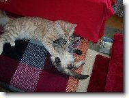 Tak moc se máme rádi!