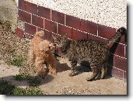 Prostě se máme ráádi.