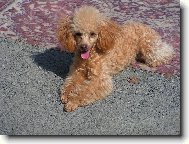 Jednou ze mě bude modelka,to si pište!