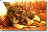 Eliška von Chrastavec