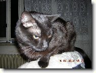 toto křeslo je teď moje