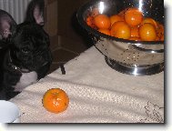 Kdo mně tu mandarinku oloupe?