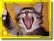 Podívej , už mi rostou zuby !