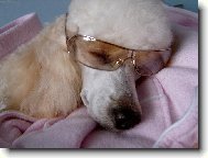 správná ochrama proti sluníčku