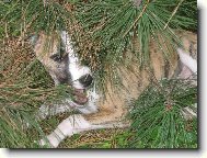 Najde mě nebo nenajde