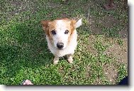 bez šedin a vrásek