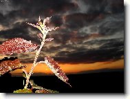 Mocná a tajuplná...