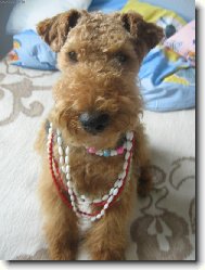 náš malý parádník