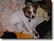 Přidáte mě do pračky?