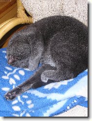 odpočívám, nerušit! :-) I