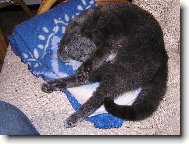 odpočívám, nerušit! :-) III