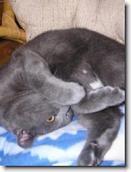 odpočívám, nerušit! :-) IV