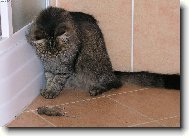 To je k jídl,nebo na hraní?