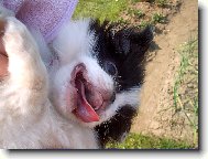 Záhon nedodělám,chytili mě.