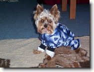 To máš za to,že mě fotíš!!!!