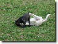 Já ti dám,troufat si na menšího!