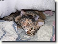 Nerušit !! My tady hají..