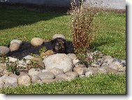 Tady mne nikdo neuvidí...