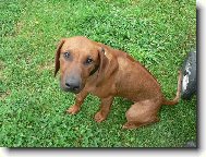 tak to je náš kámoš Nelson