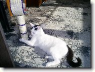 Konečně sluníčko!