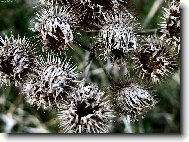 Pozor, ať tě nepíchnu