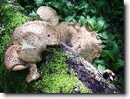 odsud už se nehneme