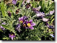 Na zahrádce u kamarádky