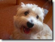 Ten život je ale stejně sranda, co?