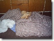 pomocnice při povlékání peřin