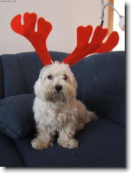 Nahradní sobííííííík!!!!;o)