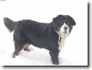 můj první sníh....