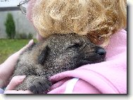 Největší trhač na světě