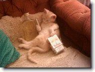 Když jsem byl menší,neměl jsem ještě rozum...:-))