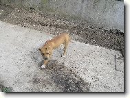 o sa na mňa budú mojitelia poriadne hnevať že som rozhádzala zem!Ha,mňa to mrzý...