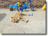 len tak si tu ležím