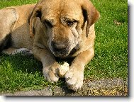 rohlíčky mám nejradši