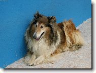 ...a teď si mně vyfoťte...